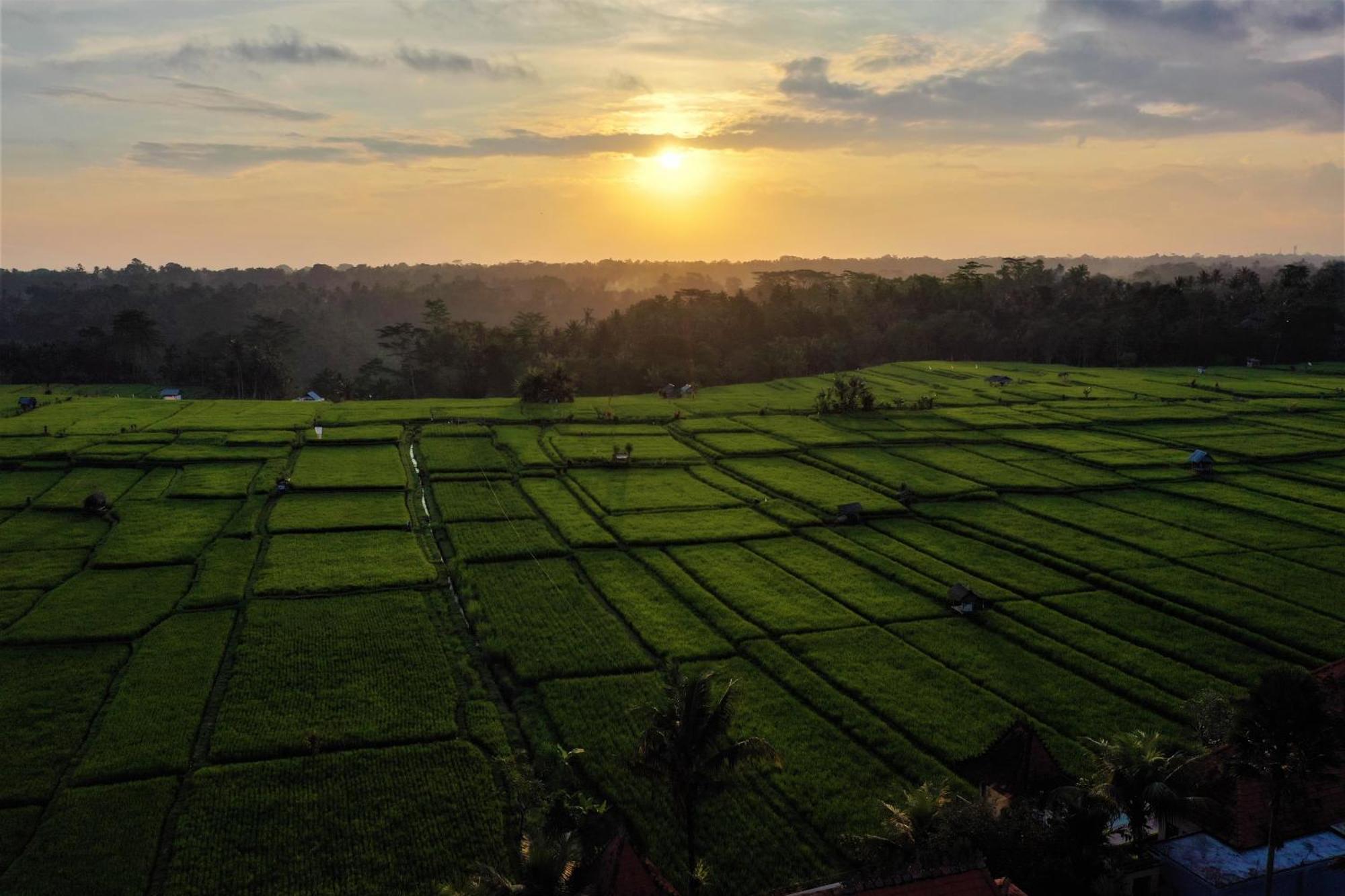 Villa The Joglo At Umah Sunset Ubud Exterior foto